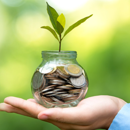 Wealth Creation Blueprint